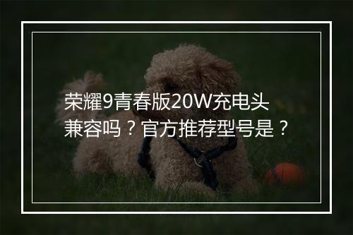 荣耀9青春版20W充电头兼容吗?官方推荐型号是?