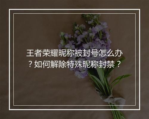 王者荣耀昵称被封号怎么办?如何解除特殊昵称封禁?