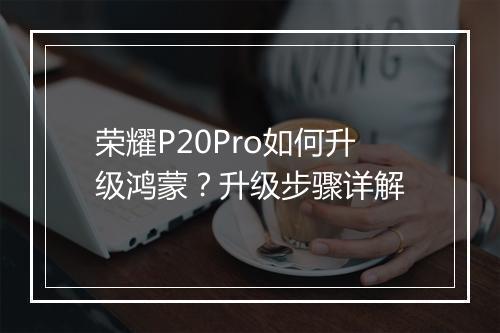 荣耀P20Pro如何升级鸿蒙?升级步骤详解