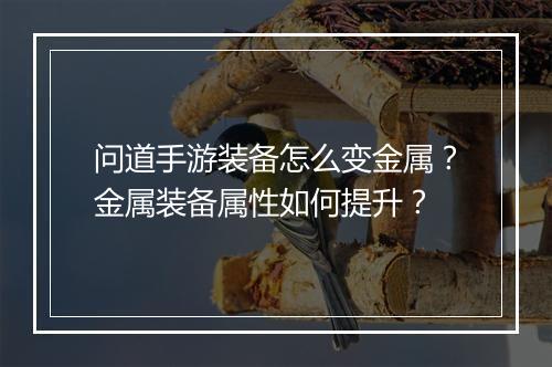 问道手游装备怎么变金属?金属装备属性如何提升?