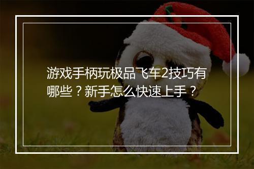 游戏手柄玩极品飞车2技巧有哪些？新手怎么快速上手？