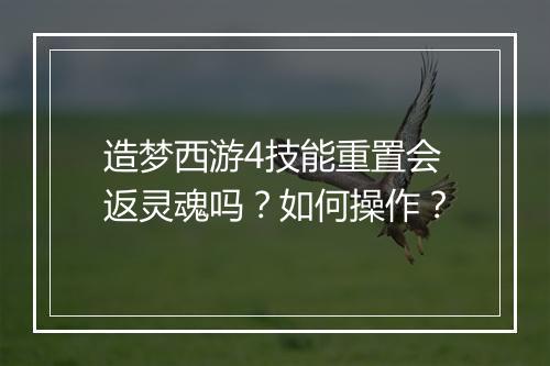 造梦西游4技能重置会返灵魂吗？如何操作？