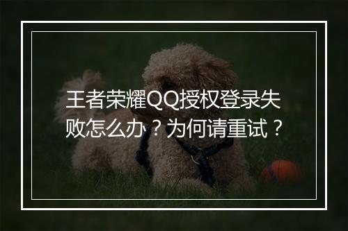 王者荣耀QQ授权登录失败怎么办？为何请重试？