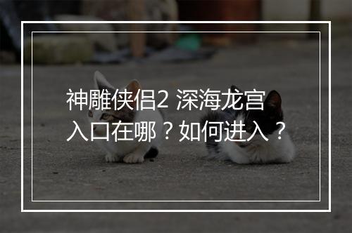 神雕侠侣2 深海龙宫入口在哪?如何进入?