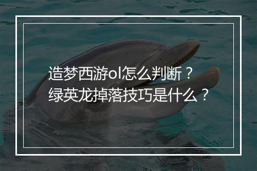 造梦西游ol怎么判断?绿英龙掉落技巧是什么?
