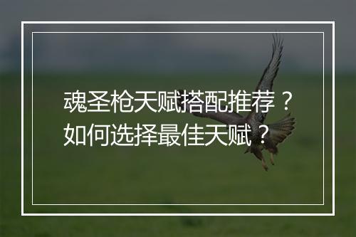 魂圣枪天赋搭配推荐？如何选择最佳天赋？