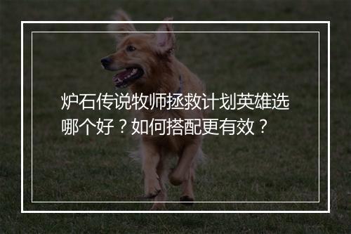 炉石传说牧师拯救计划英雄选哪个好?如何搭配更有效?