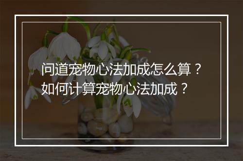 问道宠物心法加成怎么算?如何计算宠物心法加成?