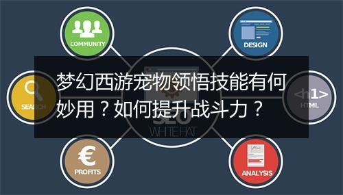 梦幻西游宠物领悟技能有何妙用?如何提升战斗力?