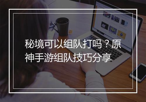 秘境可以组队打吗?原神手游组队技巧分享