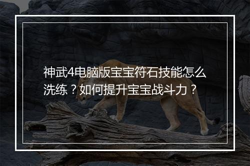神武4电脑版宝宝符石技能怎么洗练？如何提升宝宝战斗力？