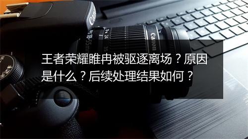 王者荣耀睢冉被驱逐离场？原因是什么？后续处理结果如何？