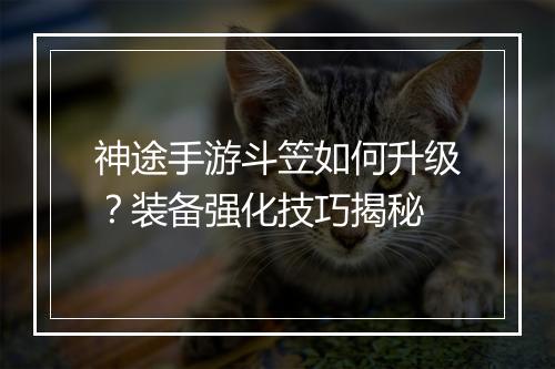 神途手游斗笠如何升级？装备强化技巧揭秘