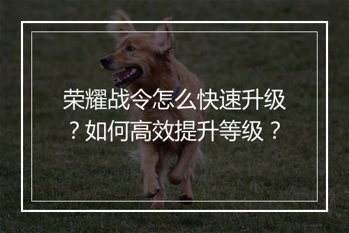 荣耀战令怎么快速升级?如何高效提升等级?