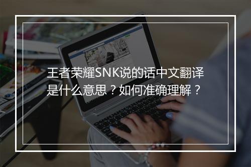王者荣耀SNK说的话中文翻译是什么意思?如何准确理解?
