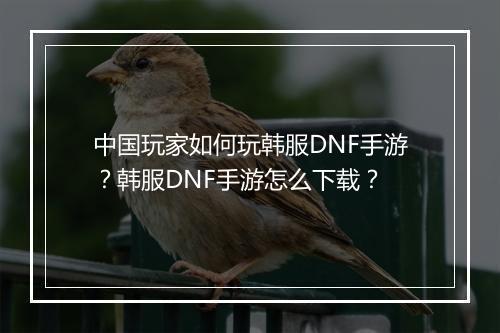 中国玩家如何玩韩服DNF手游?韩服DNF手游怎么下载?