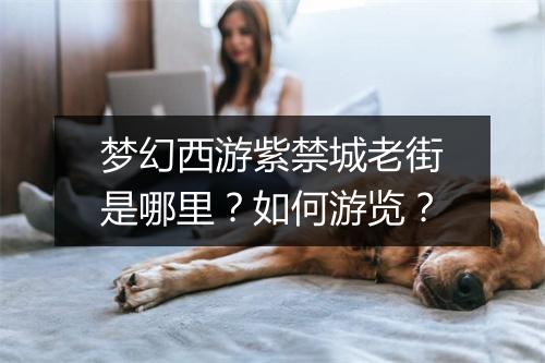 梦幻西游紫禁城老街是哪里？如何游览？