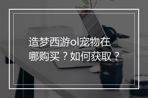 造梦西游ol宠物在哪购买?如何获取?