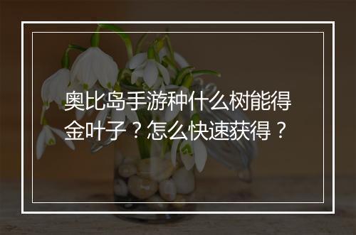 奥比岛手游种什么树能得金叶子？怎么快速获得？