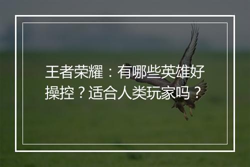 王者荣耀：有哪些英雄好操控？适合人类玩家吗？