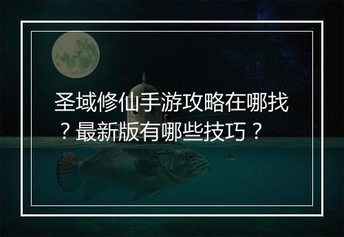 圣域修仙手游攻略在哪找？最新版有哪些技巧？