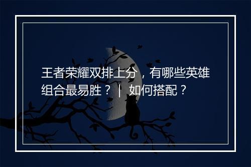 王者荣耀双排上分,有哪些英雄组合最易胜?| 如何搭配?