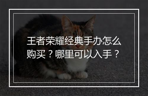 王者荣耀经典手办怎么购买?哪里可以入手?