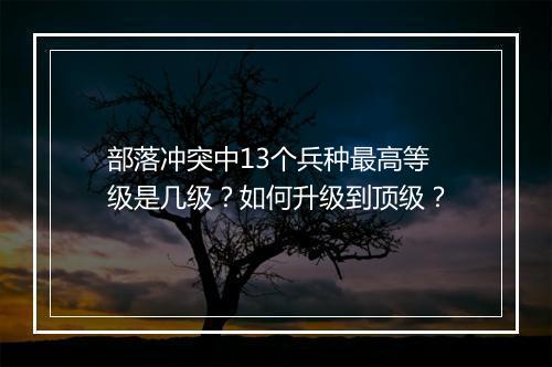 部落冲突中13个兵种最高等级是几级？如何升级到顶级？