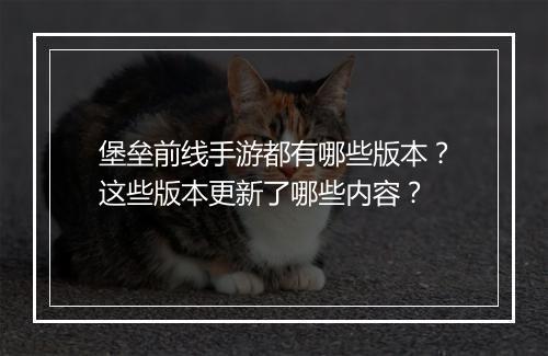 堡垒前线手游都有哪些版本?这些版本更新了哪些内容?