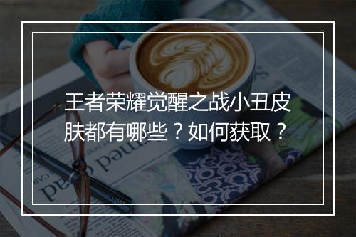 王者荣耀觉醒之战小丑皮肤都有哪些?如何获取?