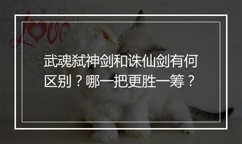武魂弑神剑和诛仙剑有何区别?哪一把更胜一筹?