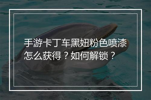 手游卡丁车黑妞粉色喷漆怎么获得?如何解锁?