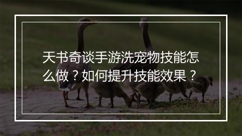 天书奇谈手游洗宠物技能怎么做?如何提升技能效果?