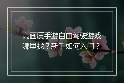 高画质手游自由驾驶游戏哪里找？新手如何入门？