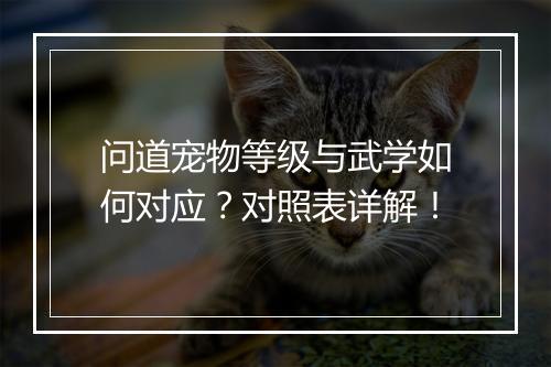 问道宠物等级与武学如何对应？对照表详解！