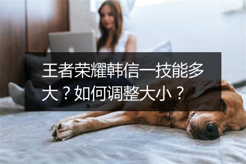 王者荣耀韩信一技能多大?如何调整大小?