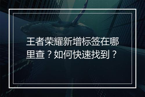王者荣耀新增标签在哪里查？如何快速找到？