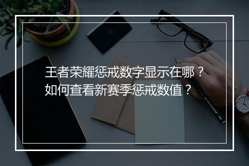 王者荣耀惩戒数字显示在哪?如何查看新赛季惩戒数值?