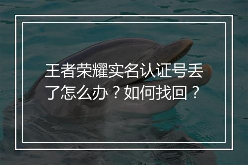 王者荣耀实名认证号丢了怎么办?如何找回?