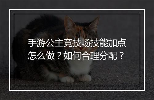 手游公主竞技场技能加点怎么做?如何合理分配?