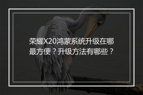 荣耀X20鸿蒙系统升级在哪最方便?升级方法有哪些?