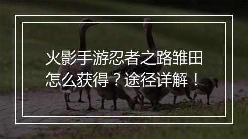 火影手游忍者之路雏田怎么获得？途径详解！