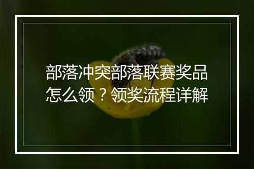 部落冲突部落联赛奖品怎么领?领奖流程详解