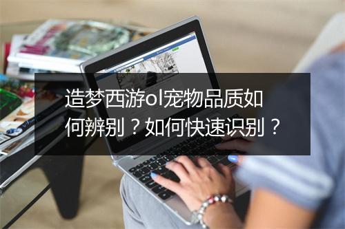 造梦西游ol宠物品质如何辨别？如何快速识别？