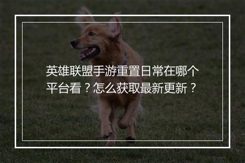 英雄联盟手游重置日常在哪个平台看?怎么获取最新更新?
