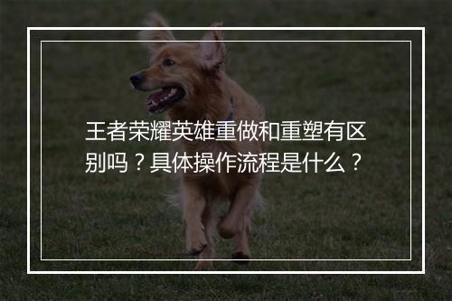 王者荣耀英雄重做和重塑有区别吗?具体操作流程是什么?