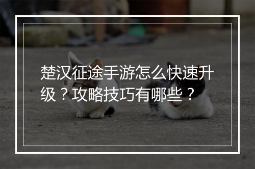楚汉征途手游怎么快速升级？攻略技巧有哪些？