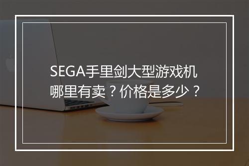 SEGA手里剑大型游戏机哪里有卖？价格是多少？