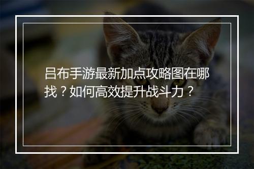 吕布手游最新加点攻略图在哪找?如何高效提升战斗力?