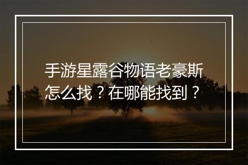 手游星露谷物语老豪斯怎么找？在哪能找到？